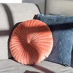 Haus Diana - Silbermoewe *