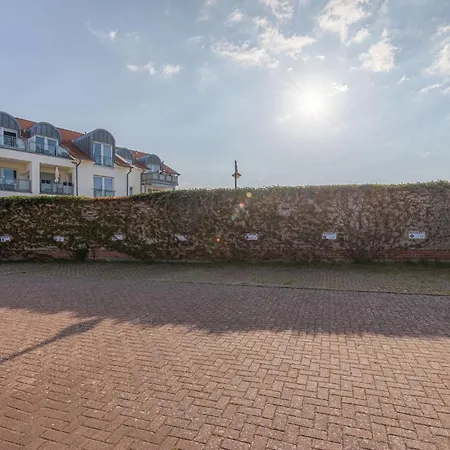 Haus Diana - Silbermoewe